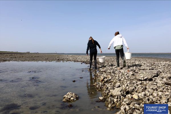 Ontdek Yerseke tijdens een rondleiding