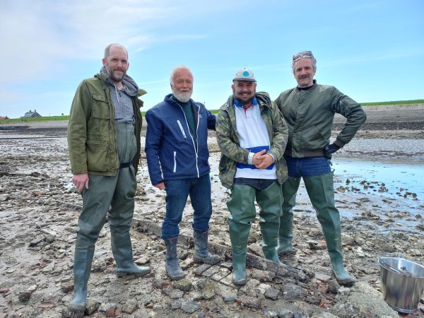 Oesters rapen oosterschelde