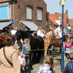 jaarmarkt yerseke paarden