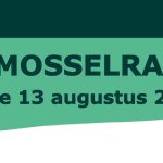 mosselrace yerseke 2022 13 augustus