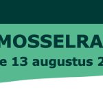 mosselrace yerseke 2022 13 augustus