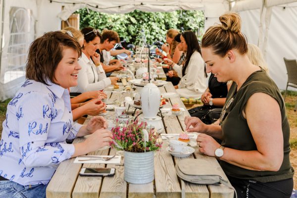 Teamuitje hightea zeeland