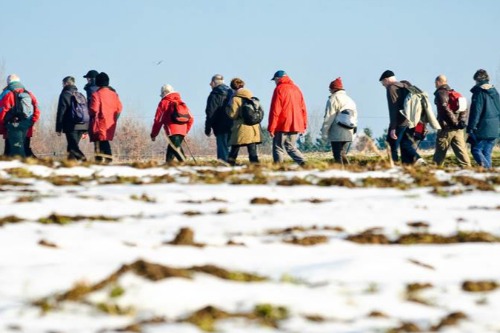 winterwandeling