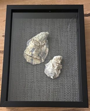 2 beschilderde oesters in lijst