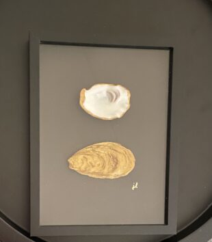 Zwarte lijst met 2 goude oesters